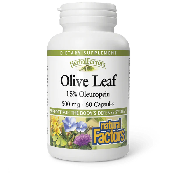 Natural Factors HerbalFactors® Olive Leaf 500 mg - 60 Caps